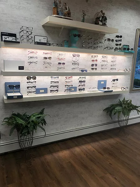 The image shows a well-lit optical store display with various frames and sunglasses arranged on shelves against a white wall, with a potted plant at the bottom right corner.